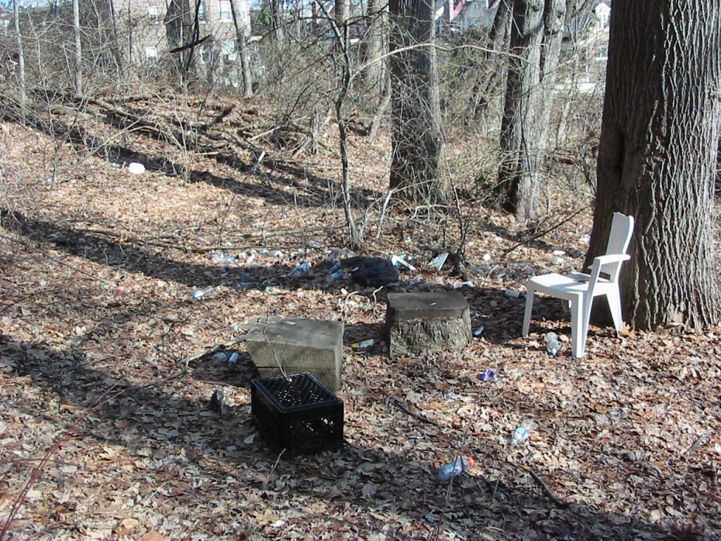 Party spot #1, Near Lotus Road, Morris Park, Philadelphia