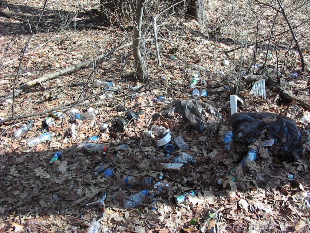 a trash dump near Lotus Road, Morris Park Philadelphia